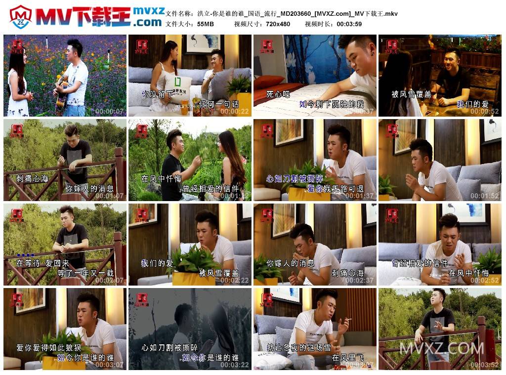 洪立-你是谁的谁_国语_流行_MD203660